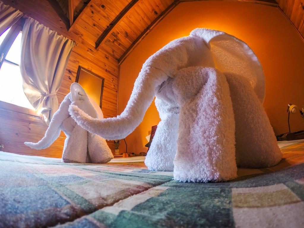 Cabanas De La Patagonia San Martín de los Andes Dış mekan fotoğraf